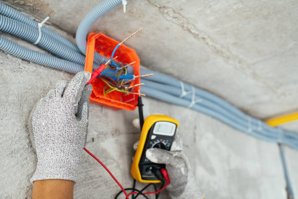 Best Ceiling Fan Installation Electrician  in Robbinsdale, MN